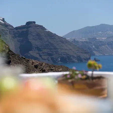 빌라 퍼펙트 퓨리티 *