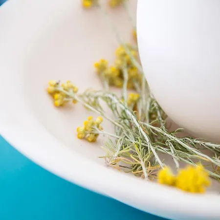 Villa Perfect Purity Oia (Santorini)