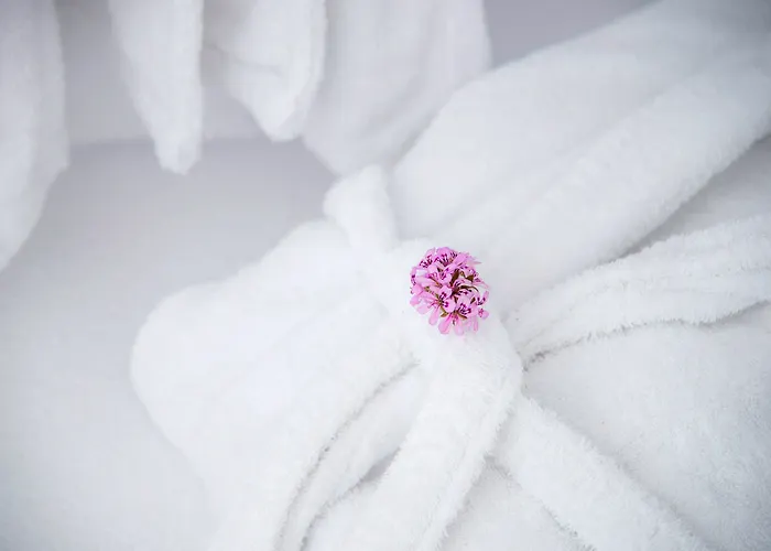 Perfect Purity Vila Oia