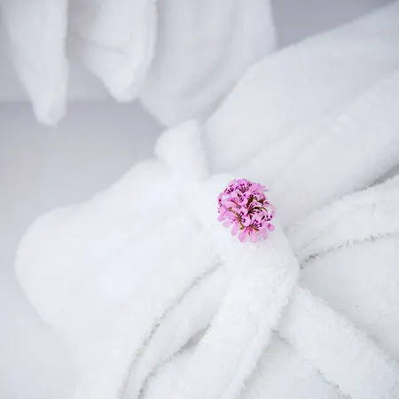 Perfect Purity Βίλα Οία